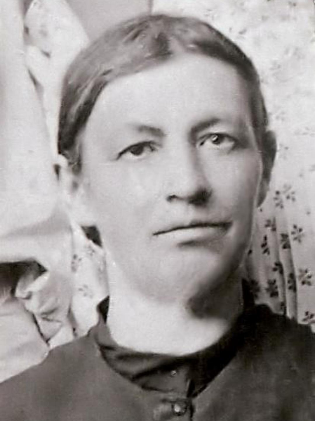 Amelia Heiner (1841 - 1903) Profile